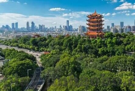 韩国对日本足球比分-韩国vs日本，一场跨越东海的足球宿命对决，比分背后是三十年的恩怨情仇
