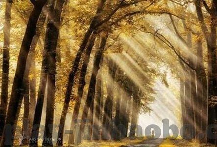 九游安卓客户端下载-九游安卓客户端，打造个性化移动娱乐新体验