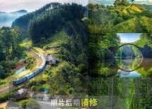 足球比分足球即时-足球比分即时速递，绿茵场上的心跳时刻与数据背后的战术博弈